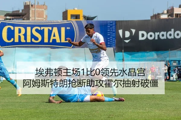 埃弗顿主场1比0领先水晶宫 阿姆斯特朗抢断助攻霍尔抽射破僵