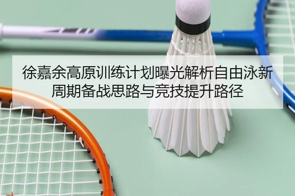 徐嘉余高原训练计划曝光解析自由泳新周期备战思路与竞技提升路径